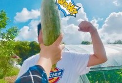 吃瓜事件网红最新,网红吃瓜事件揭秘