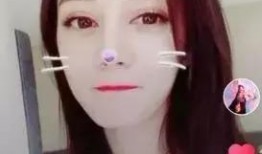 网红爆料某明星视频大全,某明星视频大全，精彩瞬间大揭秘！