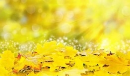 秋天的妈妈最新爆料文案