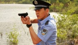 刑警博客在线观看,探案背后的故事与智慧