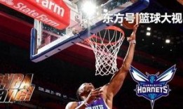 黄蜂爆料乔丹视频大全,乔丹经典视频大全回顾