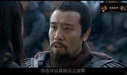 新三国74集在线观看,英雄末路，乱世风云再起