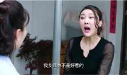 小儿媳爆料大嫂视频播放,真相背后引人深思