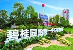 碧桂园爆料最新,揭秘千亿房企的转型之路与未来布局”