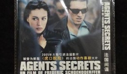 法国间谍在线观看,在线观看背后的秘密世界