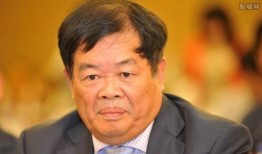 曹德旺最新爆料,揭秘企业困境与未来展望