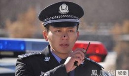 草冒警察全集在线观看,全集在线观看，揭秘正义与勇气的传奇故事