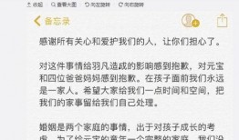 卓伟爆料小男孩视频大全,小男孩视频大全引发热议