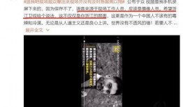 狼哥爆料现场视频播放网站,热门播放网站幕后真相大曝光