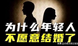 肉体性追辑在线观看,揭秘惊悚悬疑的在线观影之旅