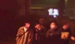 爆料丑态视频大全,视频大全背后的惊人真相