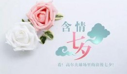 爆料七夕节教程视频,浪漫节日必备技能大公开