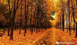 秋天的妈妈最新爆料文案