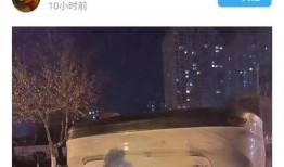 宜兴事件爆料视频播放,揭秘背后真相，视频播放引发热议