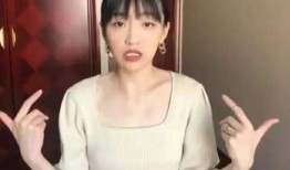 王晨鹏前女友爆料视频在线观看,揭秘背后惊人真相