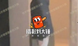 狗仔爆料翟子路视频大全,翟子路视频大全幕后真相大曝光