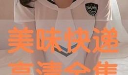 美味快递高清在线观看,美食传递背后的温情故事