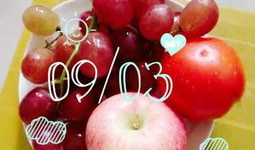 爆料提子视频下载安装免费