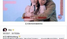 吃瓜爆料王大陆视频,吃瓜爆料背后的故事