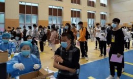 三农联盟爆料最新消息视频,揭秘农村发展新动态