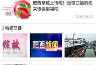 肥西女婿爆料视频最新版,揭秘惊人内幕