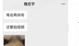 胖猫事件知情人士爆料视频,知情人士揭秘幕后真相