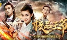 电影王爷在线观看,在线重温古代风云