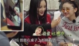 甜馨爆料视频,娱乐圈背后的真实故事