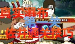 止水爆料视频完整版免费观看,独家揭秘，免费观看带你领略真相全貌