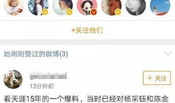 娱乐爆料微博怎么写,微博爆料背后的真相与内幕