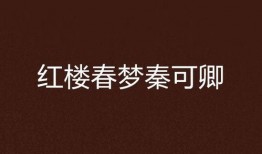 《红楼春梦》在线观看,穿越时空的古典爱情传奇