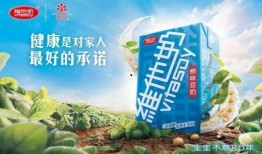 维他奶新闻爆料,揭秘品牌背后的故事与市场策略