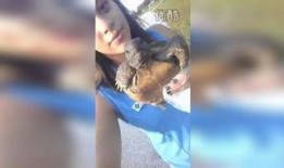 贱女孩1在线观看