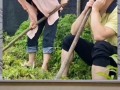 娱乐八卦是吃瓜群众的,吃瓜群众如何成为娱乐八卦的幕后推手