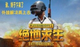 吃鸡国际服车皮最新爆料,神秘外观与性能大揭秘！