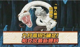 帕克爆料我爱罗视频,我爱罗幕后视频曝光，震撼揭秘背后的故事