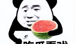 暴走吃瓜免费观看入口,畅享热门综艺，轻松解锁快乐时光